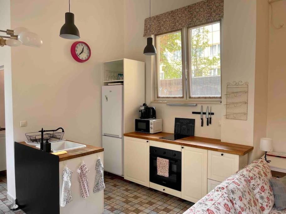 Knezits Spacious Ac Terrace Free Parking Budapest Bagian luar foto